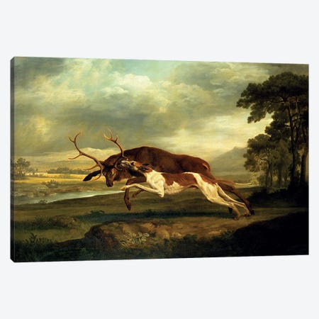 A Hound Attacking A Stag Canvas Print #BMN4487} by George Stubbs Canvas Art Print