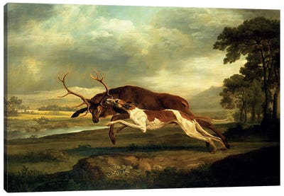 A Hound Attacking A Stag Canvas Art Print