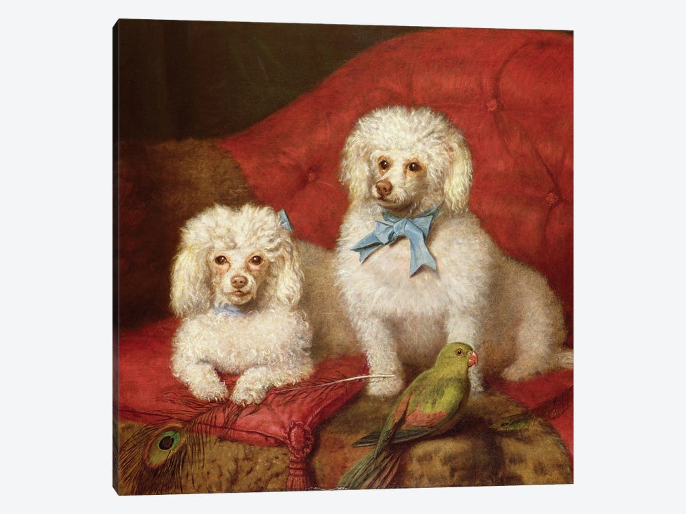 A Pair of Poodles by English School 1-piece Canvas Wall Art