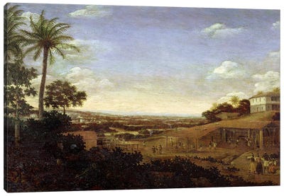 Brazilian landscape with sugar mill, armadillo and snake, River Varzea Canvas Art Print