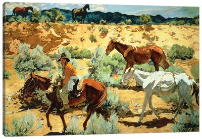 The Southwest  Canvas Art Print