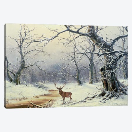 A Stag in a wooded landscape Canvas Print #BMN4535} by Nils Hans Christiansen Canvas Print