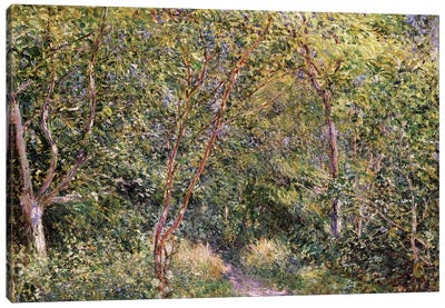 In the Wood Canvas Art Print - Alfred Sisley