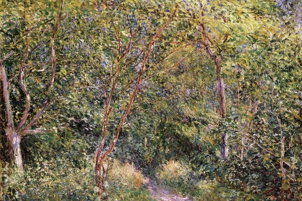 In the Wood