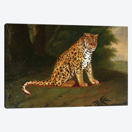 A Leopard in a landscape Canvas Print #BMN4550} by Jacques-Laurent Agasse Canvas Artwork
