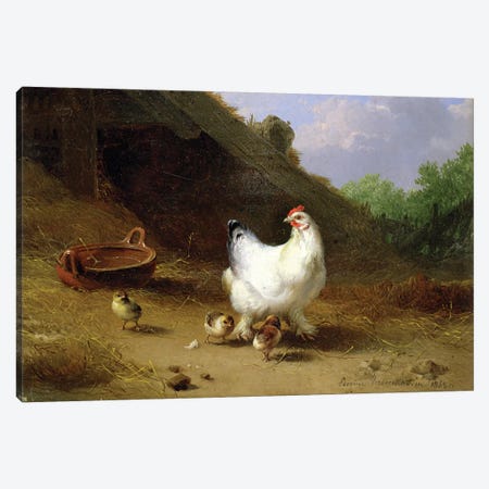 A hen with her chicks Canvas Print #BMN4577} by Eugene Joseph Verboeckhoven Canvas Art Print