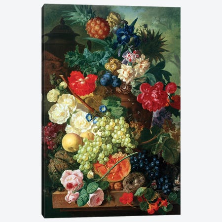 Mixed Flowers and Pineapples in an Urn with a Bird's Nest and a Cat Canvas Print #BMN4593} by Jan van Os Canvas Art