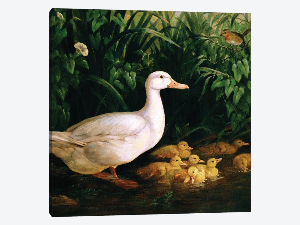 Duck and ducklings, c.1890 1-piece Canvas Wall Art