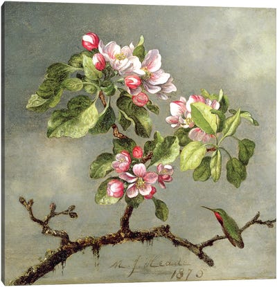 Apple Blossoms and a Hummingbird, 1875  Canvas Art Print - Blossom Art