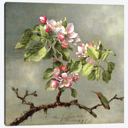 Apple Blossoms and a Hummingbird, 1875  Canvas Print #BMN4641} by Martin Johnson Heade Canvas Wall Art