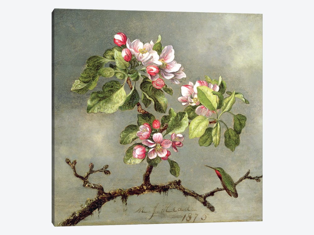 Apple Blossoms and a Hummingbird, 1875  1-piece Canvas Artwork