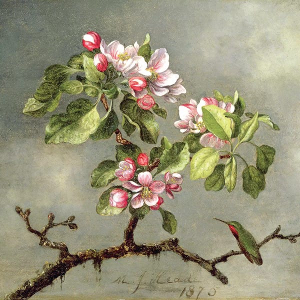 Blossoms: Apple Blossoms and a Hummingbird, 1875  by Martin Johnson Heade
