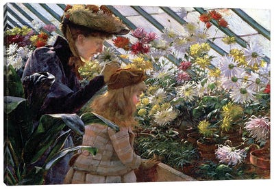 Chrysanthemums, 1890  Canvas Art Print