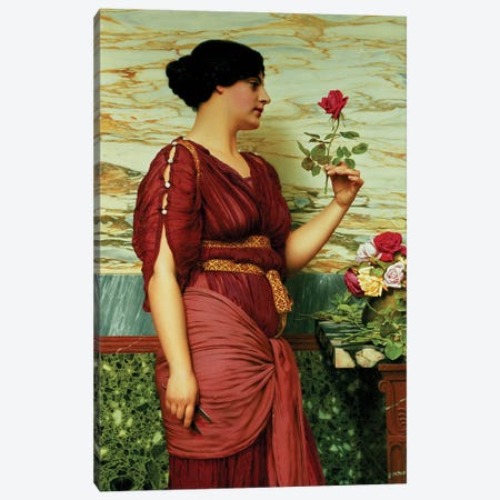 A red, red rose Canvas Print #BMN464} by John William Godward Canvas Print