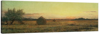 Jersey Meadows  Canvas Art Print