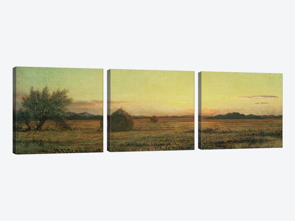 Jersey Meadows  by Martin Johnson Heade 3-piece Canvas Print