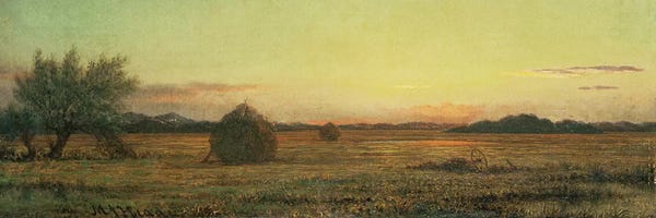 Jersey Meadows 