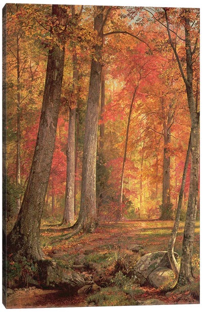 Path in the Forest, 1865  Canvas Art Print