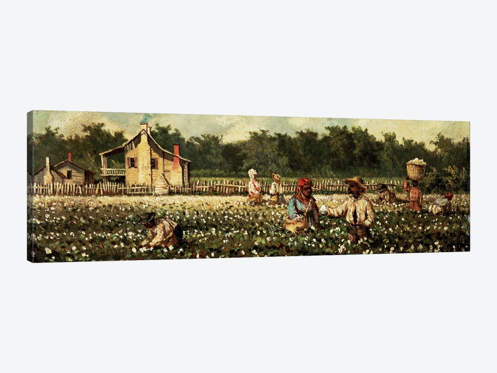 Cotton Field, Mississippi  1-piece Canvas Art