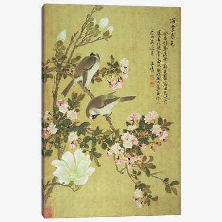 Crabapple, Magnolia and Baitou Birds  Canvas Print #BMN4683} by Ma Yuanyu Canvas Art