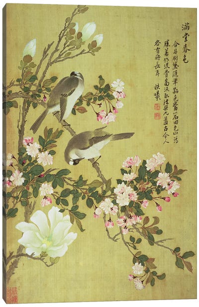 Crabapple, Magnolia and Baitou Birds  Canvas Art Print - Magnolia Art