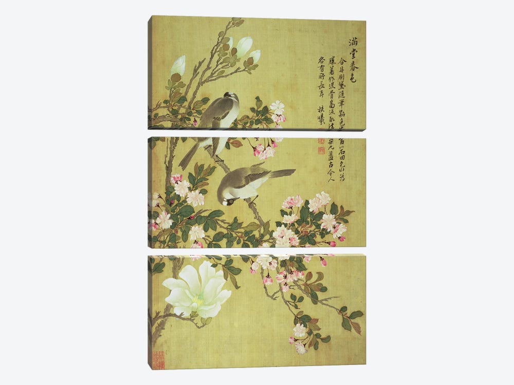 Crabapple, Magnolia and Baitou Birds  by Ma Yuanyu 3-piece Canvas Art