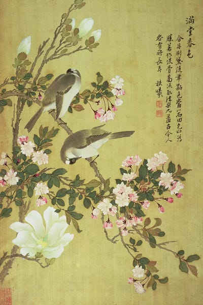 Chinese Décor: Crabapple, Magnolia and Baitou Birds  by Ma Yuanyu