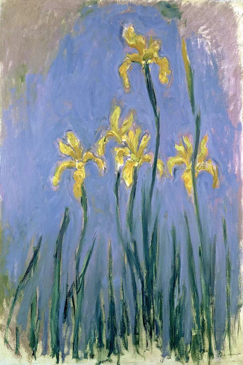 The Yellow Irises, c.1918-25 