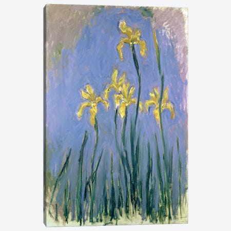 The Yellow Irises, c.1918-25  Canvas Print #BMN4692} by Claude Monet Canvas Art Print