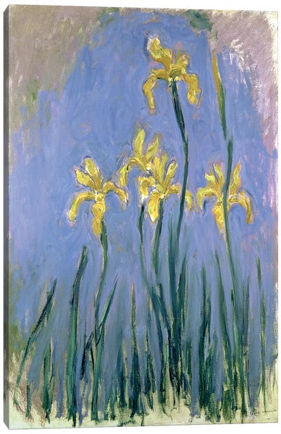 The Yellow Irises, c.1918-25  Canvas Art Print - Iris Art