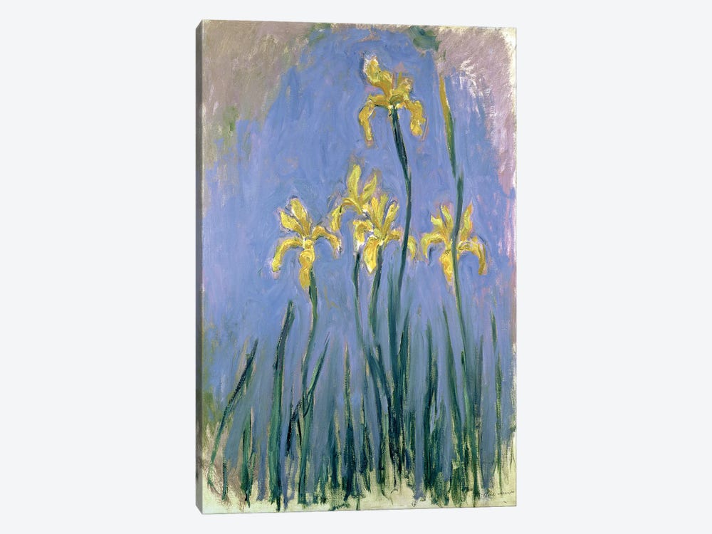 The Yellow Irises, c.1918-25  by Claude Monet 1-piece Canvas Artwork