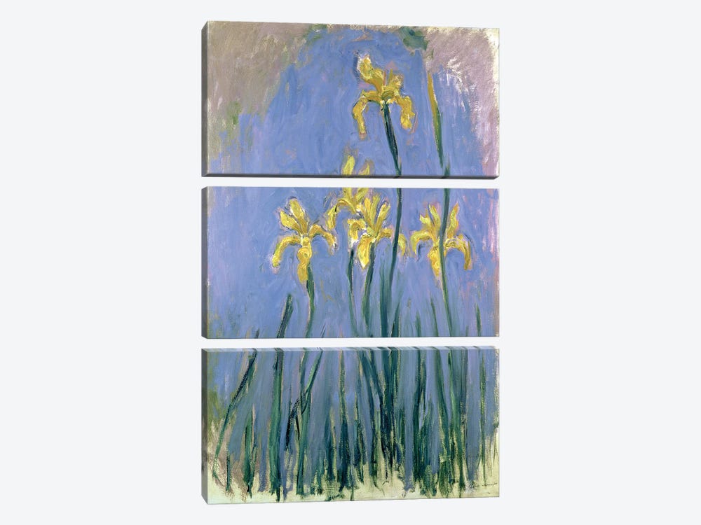 The Yellow Irises, c.1918-25  by Claude Monet 3-piece Canvas Wall Art