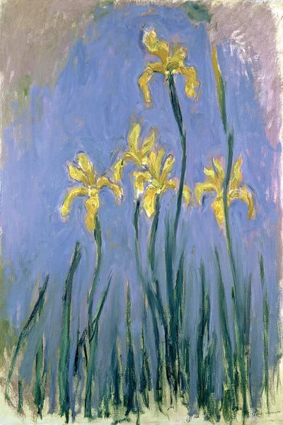 All Things Monet: The Yellow Irises, c.1918-25  by Claude Monet