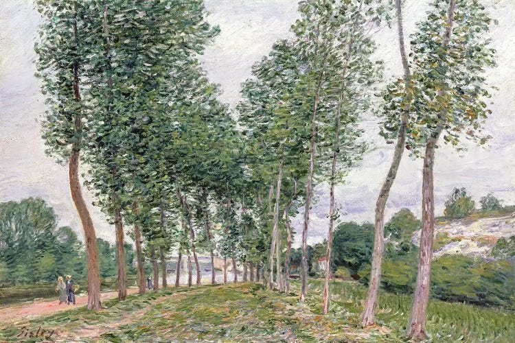 The Avenue of Poplars along the Banks of the Loing, 1892 