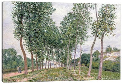 The Avenue of Poplars along the Banks of the Loing, 1892  Canvas Art Print
