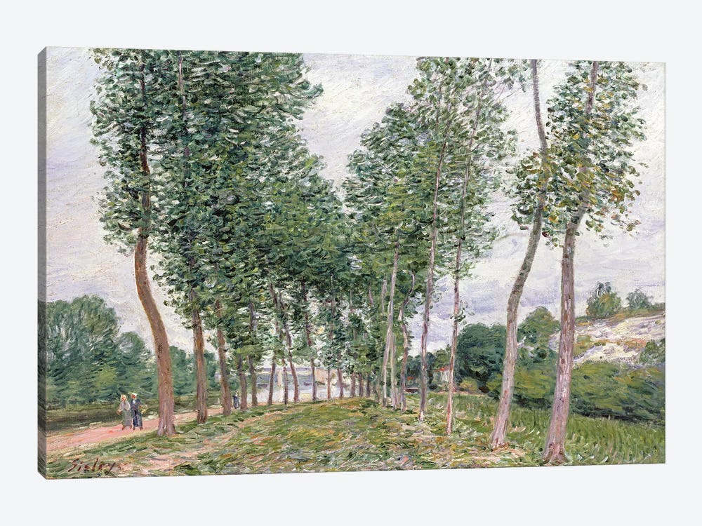 The Avenue of Poplars along the Banks of the Loing, 1892  by Alfred Sisley 1-piece Art Print