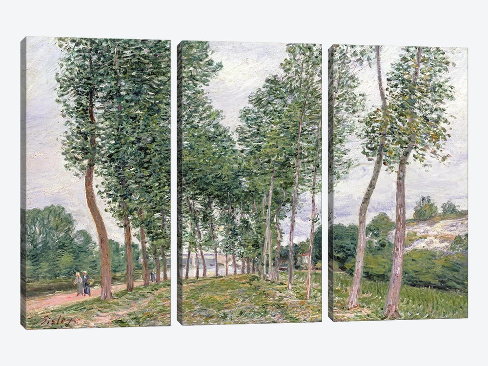 The Avenue of Poplars along the Banks of the Loing, 1892  by Alfred Sisley 3-piece Canvas Art Print