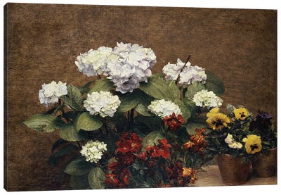 Hortensias and Stocks with Two Pots of Pansies, 1879  Canvas Art Print