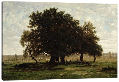 Holm Oaks, Apremont, 1850-52  Canvas Art Print - Oak Trees