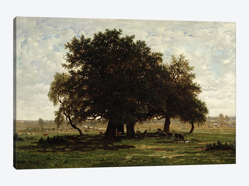 Holm Oaks, Apremont, 1850-52  by Pierre Etienne Theodore Rousseau 1-piece Canvas Print