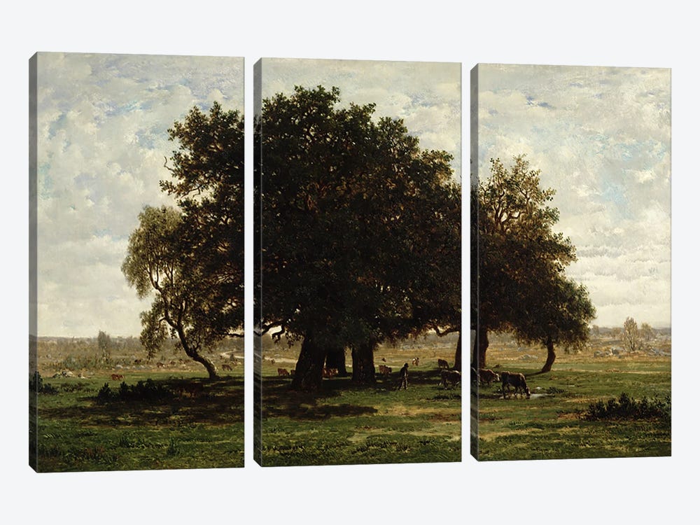 Holm Oaks, Apremont, 1850-52  by Pierre Etienne Theodore Rousseau 3-piece Canvas Print