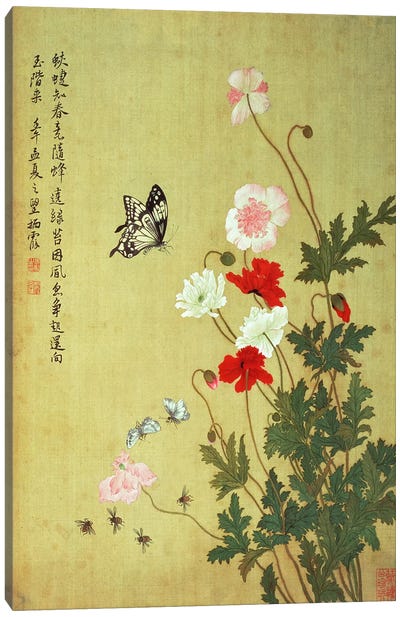 Poppies, Butterflies and Bees  Canvas Art Print - Asian Culture