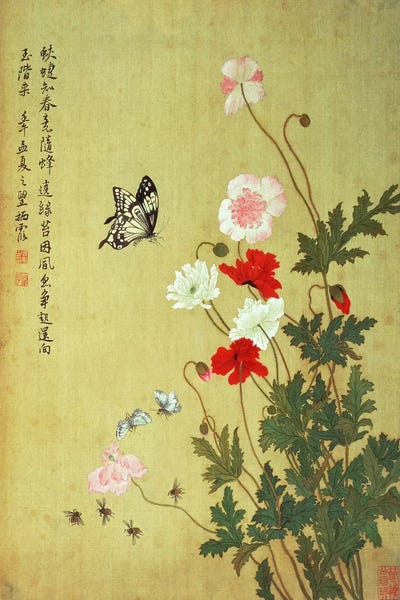 Ma Yuanyu