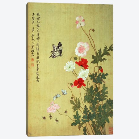Poppies, Butterflies and Bees  Canvas Print #BMN4727} by Ma Yuanyu Canvas Wall Art