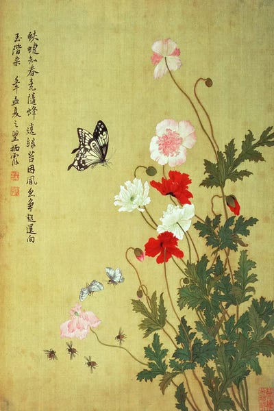 Poppies: Poppies, Butterflies and Bees  by Ma Yuanyu