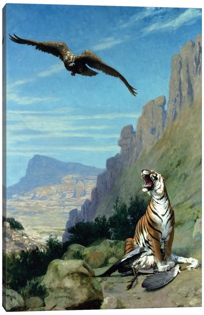 Tiger and Vulture  Canvas Art Print - Vultures