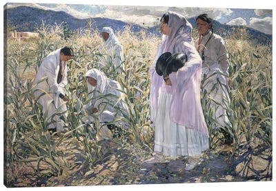 Indian corn, Taos  Canvas Art Print