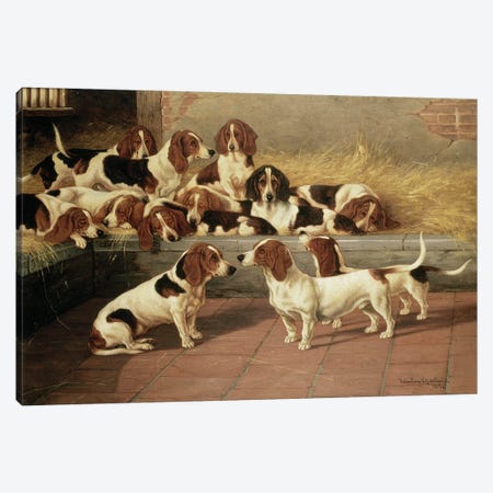 Basset Hounds in a Kennel, 1894  Canvas Print #BMN4739} by Valentine Thomas Garland Canvas Wall Art