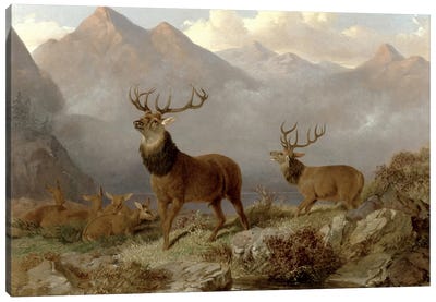 Stags And Hinds In A Highland Landscape, 1864  Canvas Art Print
