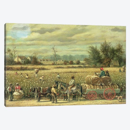 Picking Cotton  Canvas Print #BMN4760} by William Aiken Walker Art Print